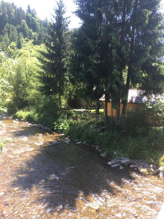 Cabana Felyviss Gîrda de Sus Extérieur photo